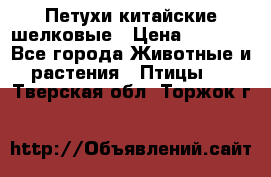Петухи китайские шелковые › Цена ­ 1 000 - Все города Животные и растения » Птицы   . Тверская обл.,Торжок г.